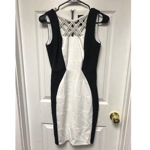 White and black bodycon professional dress